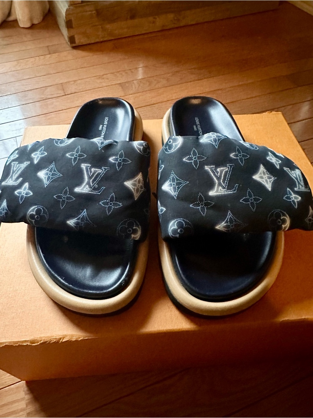Louis Vuitton Monogram Pool Pillow Slide Sandals